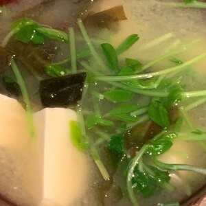 簡単ヘルシー味噌汁！(^^)ワカメ＋豆苗＋豆腐♪